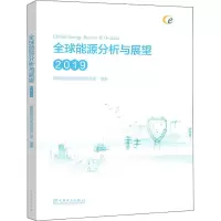 音像全球能源分析与展望(2019)作者