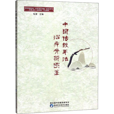 音像中国传统手法治疗骨折图鉴程延编