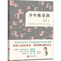 音像少年陈景润宋凌,陈忠坤