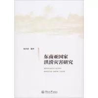 音像东南亚洪涝灾害研究陈洋波
