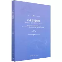 音像产业布局原理(基础理论优化目标与未来方向)胡安俊