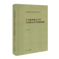 音像王元鹿普通文字学与比较文字学论集续集王元鹿