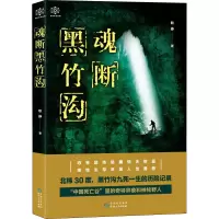 音像魂断黑竹沟耿峥