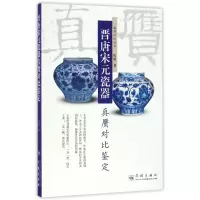 音像晋唐宋元瓷器真赝对比鉴定/真赝对比丛书程庸
