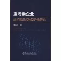 音像重污染企业技术变迁式转型升级研究黄光球