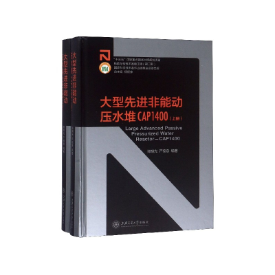 音像大型非能动压水堆CAP1400(上下)(精)郑明光 严锦泉 编著