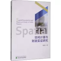 音像空间计量与财政实研究雷敬华