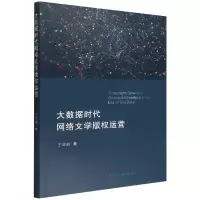 音像大数据时代网络文学版权运营王志刚