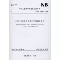 音像水电工程竣工决算专项验收规程 NB/T 10146-2019能源局