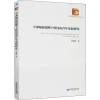 音像中部崛起战略下的河南青年发展研究胡湘明