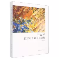 音像王春林2020年长篇小说论稿王春林 著