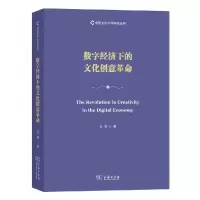 音像数字经济下的文化创意/中文化业研究丛书范周