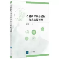 音像石斛的专利分析和技术路线预测唐先博 著