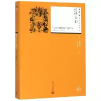 音像约婚夫妇/插图本名著名译丛书曼佐尼