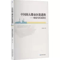 音像中国的大都市区化进程——格局与机制研究张欣炜