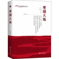 音像寒凝大地王克臣