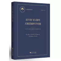音像近空间飞行器的关键基础科学问题 中国基础研究报告杨卫 著