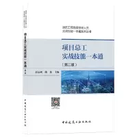 音像项目总工实战技能一本通(第二版)万李 著