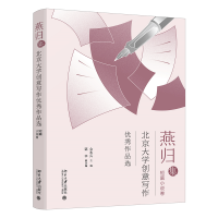 音像燕归集——北京大学创意写作作品选.短篇小说集金永兵