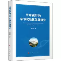 音像全球视野的节试验区发展研究常近时