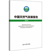 音像中国天然气发展报告 2019作者