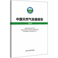 音像中国天然气发展报告 2019作者