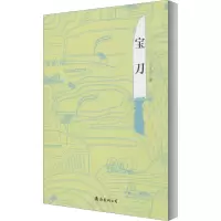 音像宝刀邢庆杰