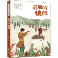 音像的狼群左泓