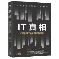 音像IT(打通IT与商务的通路)楠真