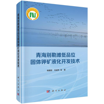 音像青海别勒滩低品位固体钾矿液化开发技术(精)焦鹏程 刘成林 等