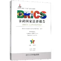 音像金砖法律报告(2019年第3卷)邓瑞平