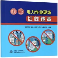 音像图解电力作业现场红线违章国网河北省电力有限司全 著