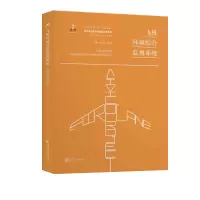 音像飞机环境综合监视系统肖刚 程宇峰