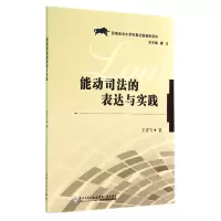 音像能动司法的表达与实践/西南政法大学民事据规则系列王杏飞
