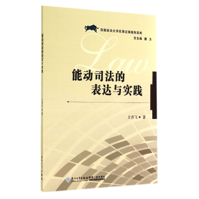 音像能动司法的表达与实践/西南政法大学民事据规则系列王杏飞