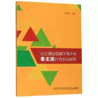 音像交往理论视阈下青少年非主流行为文化研究吴学兵