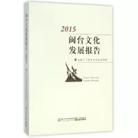 音像闽台文化发展报告(2015)丁智才
