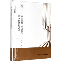 音像中国民营上市公司金字塔结构之谜/新锐经管学术系列洪镔