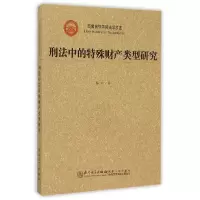 音像刑法中的特殊财产类型研究/西藏民族学院法学文库陈烨