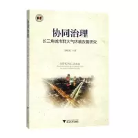 音像协同治理 长三角城市群大气环境改善研究刘晓斌