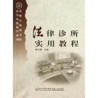 音像法律诊所实用教程/北师大珠海分校法学实践教学系列胡雪梅
