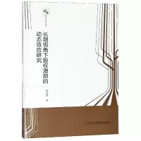 音像长期视角下股权激励的动态效应研究/新锐经管学术系列陈文强
