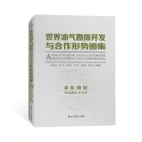音像世界油气勘探开发与合作形势图集(中东地区)胡永乐等编著
