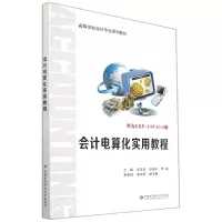 音像会计电算化实用教程王文良著
