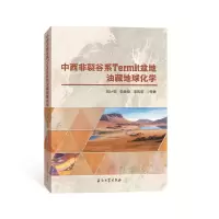 音像中西非裂谷系 Termit 盆地油藏地球化学刘计国等著