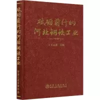 音像砥砺前行的河北钢铁工业王大勇