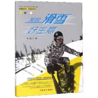 音像发现滑雪好生意(精)王嵩