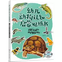 音像幼儿动物认知启蒙贴纸书:爬行动物和两栖动物央美阳光 编绘