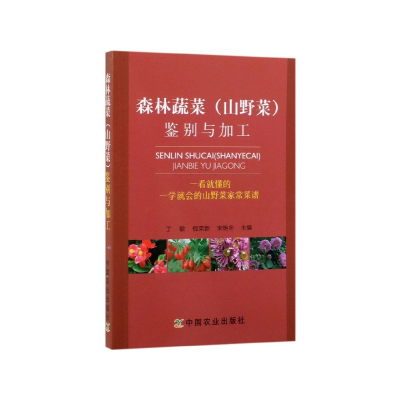 音像森林蔬菜<山野菜>鉴别与加工丁敏//倪荣新//宋艳冬
