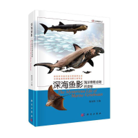 音像深海鱼影海洋脊椎动物的奥秘隋鸿锦